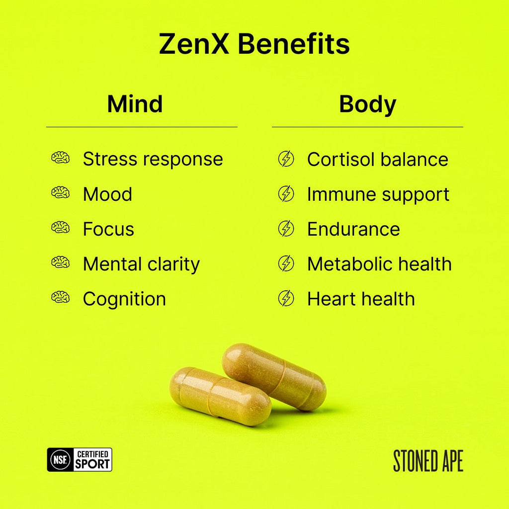 ZenX: Mood Support Nootropic