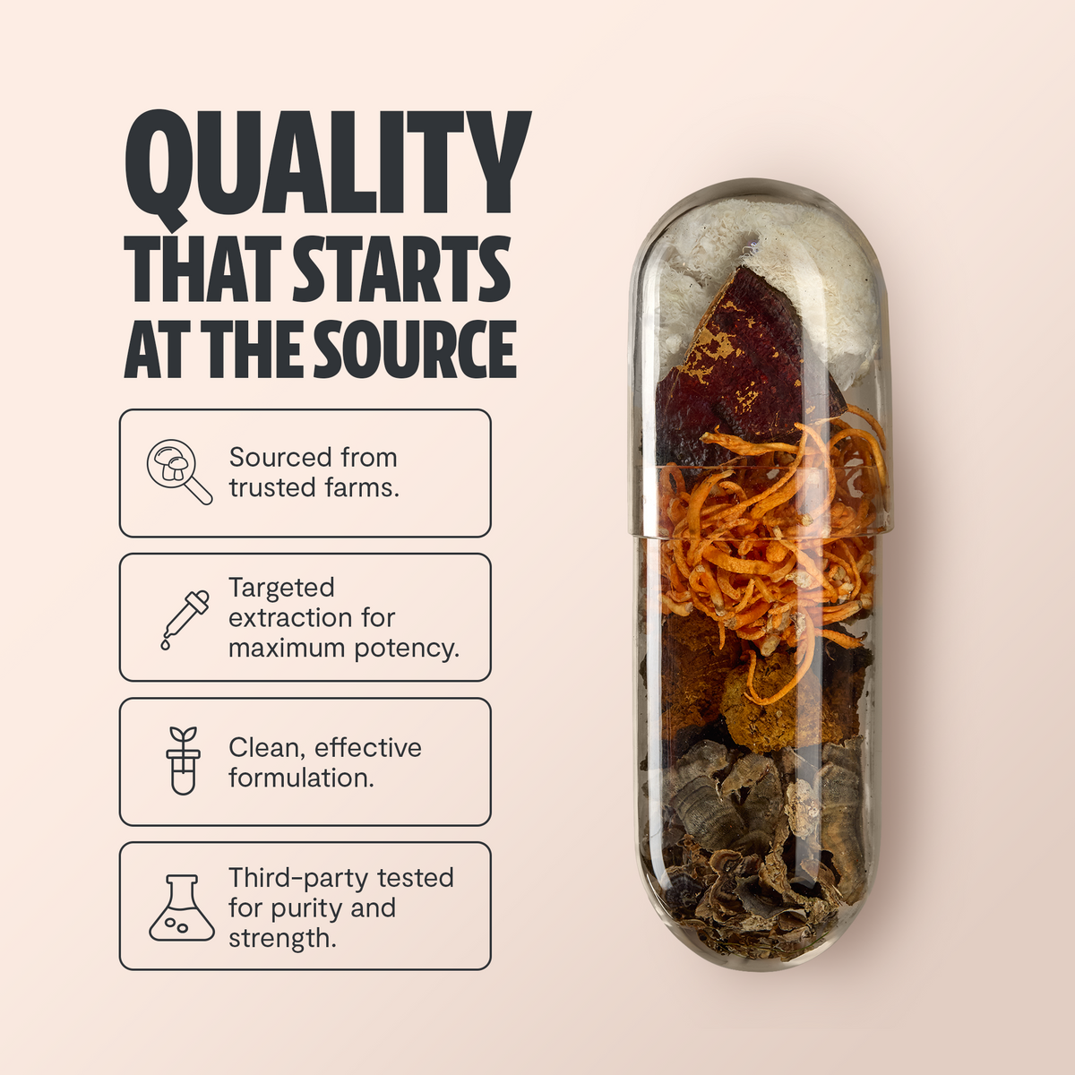 Ultimate Mushroom Complex Capsules
